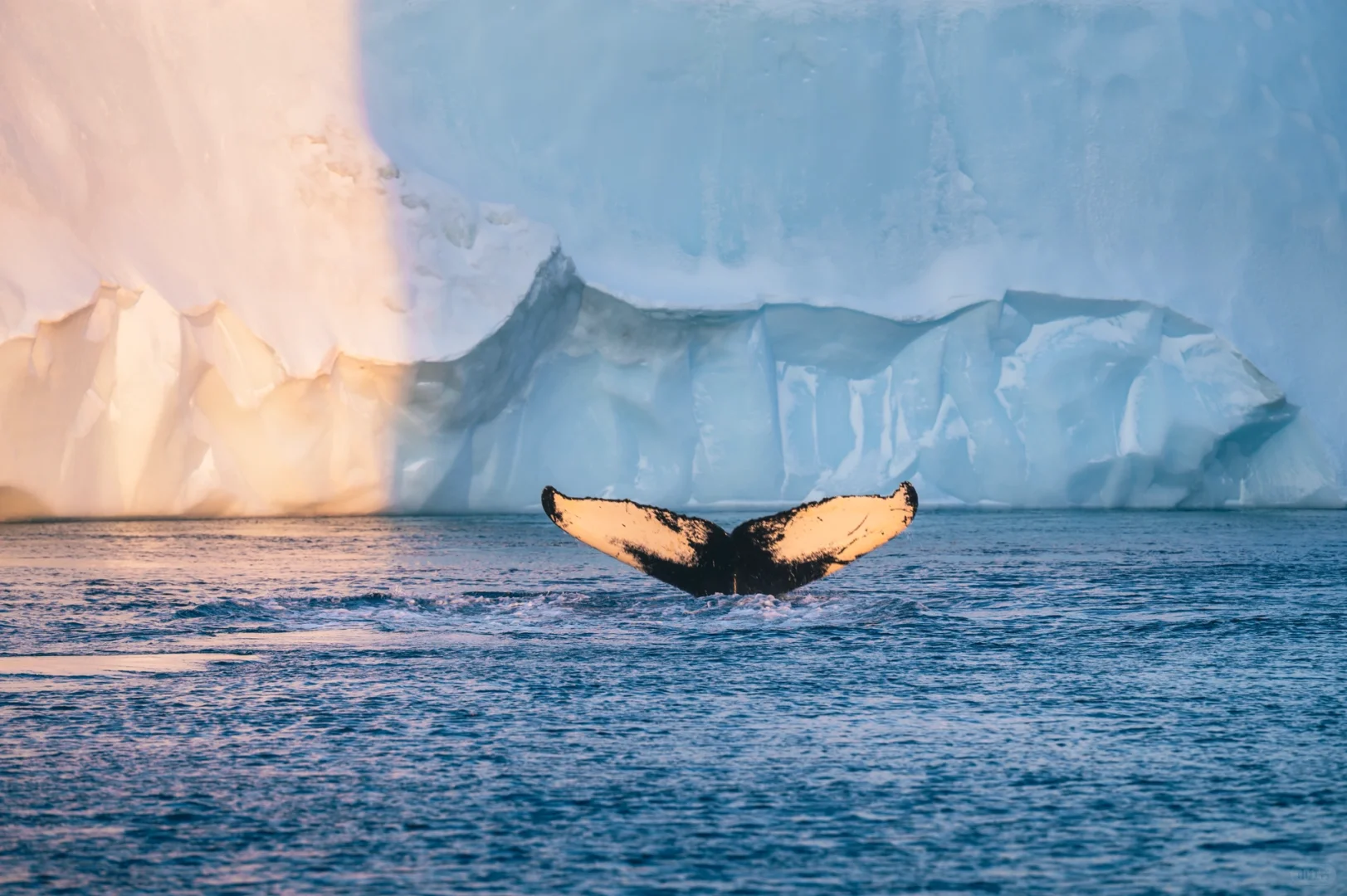 𝑫𝒓𝒆𝒂𝒎 𝒐𝒇 𝑮𝒓𝒆𝒆𝒏𝒍𝒂𝒏𝒅🌕