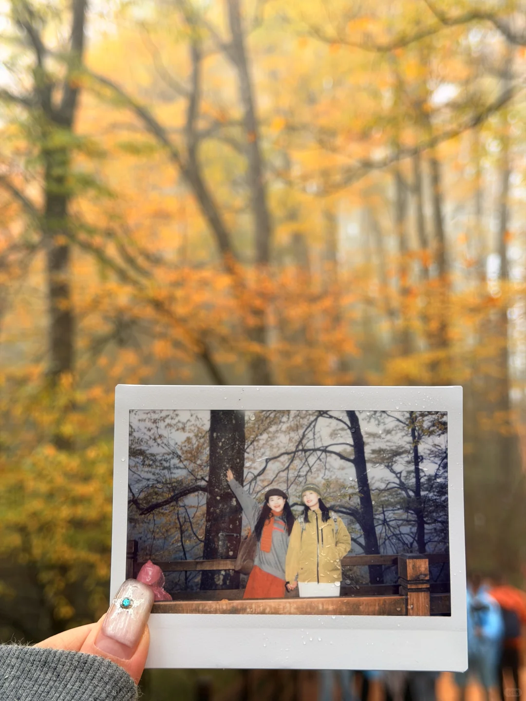 10.20实拍！！！今天的光雾山真的杀疯了！！！！