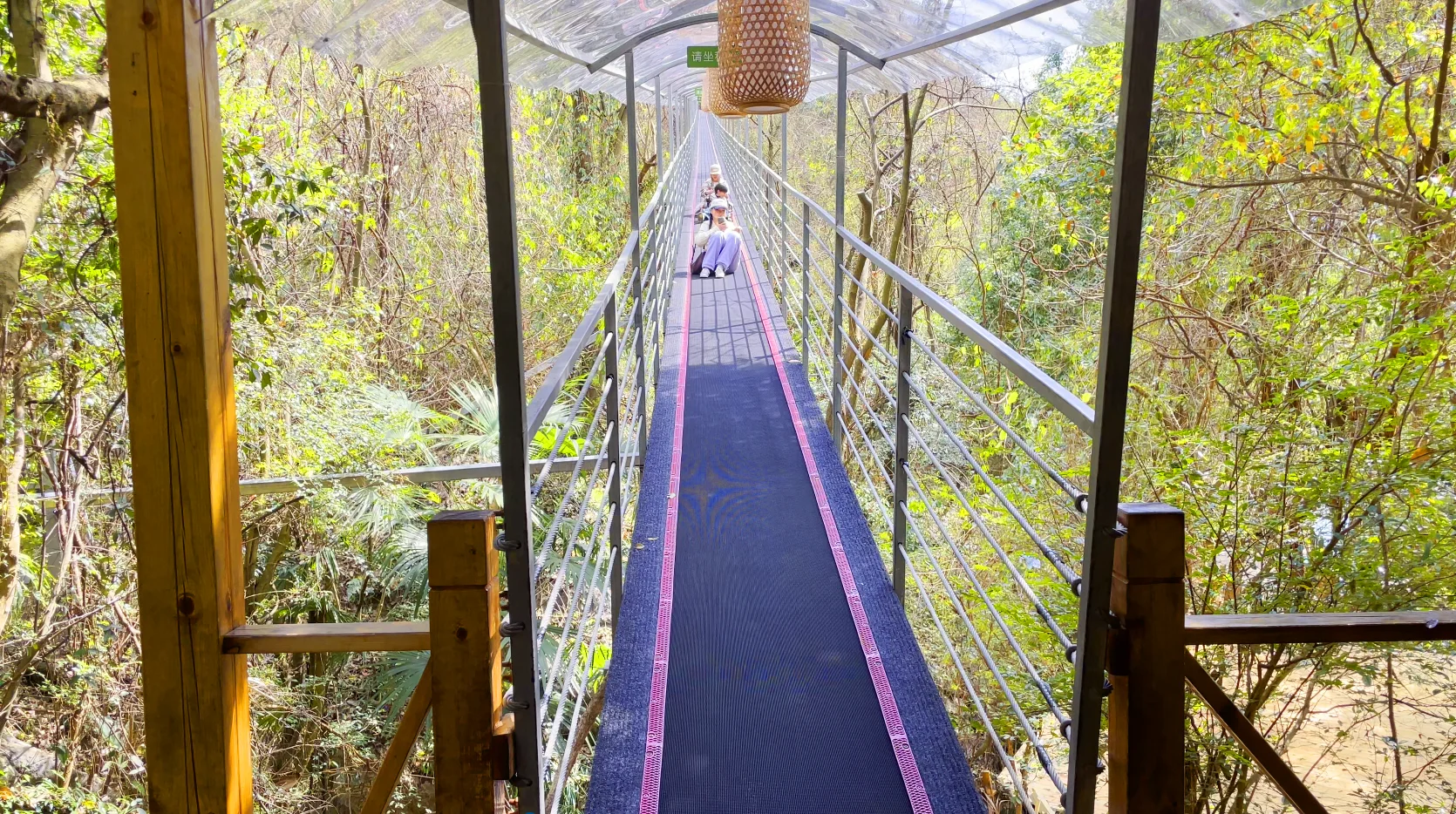 飞天魔毯 景区投资新风口