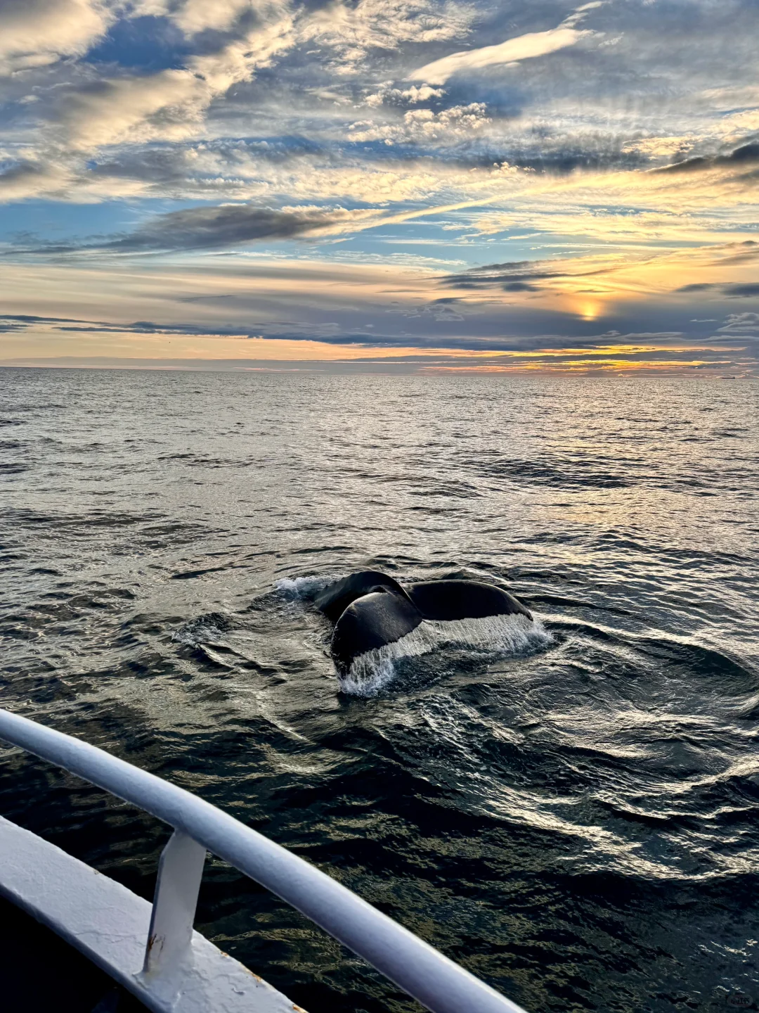 你可能不认识我，但也许看过我拍的live冰岛
