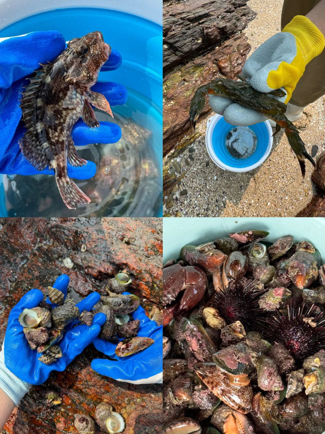 为了这几张图,我可以去一万次北海…