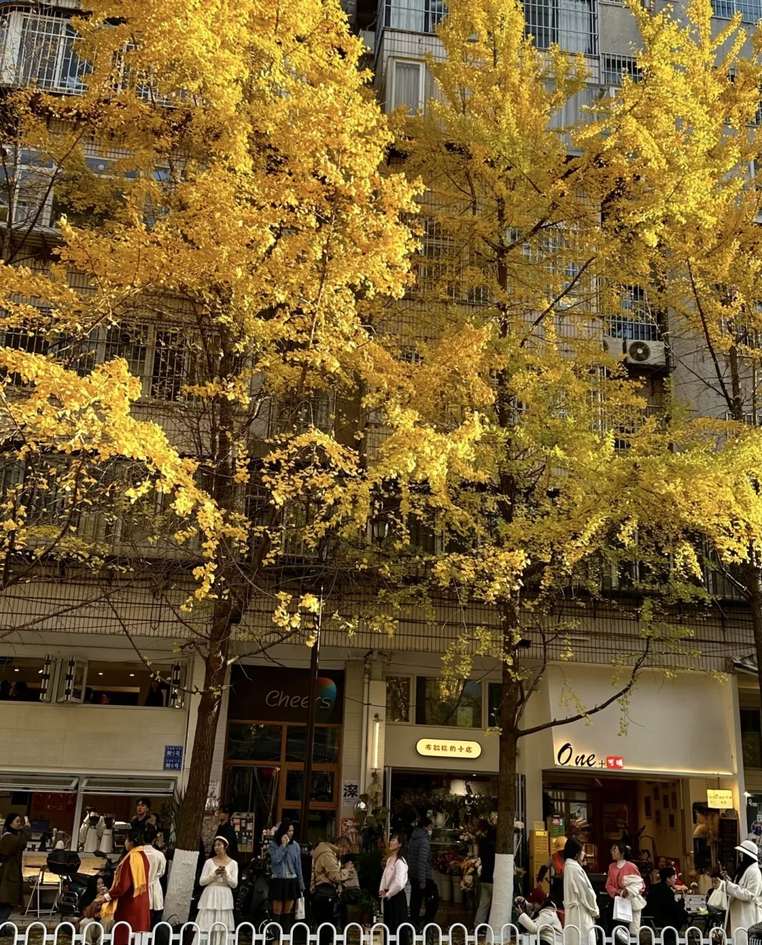 昆明必打卡景点文林街🍁