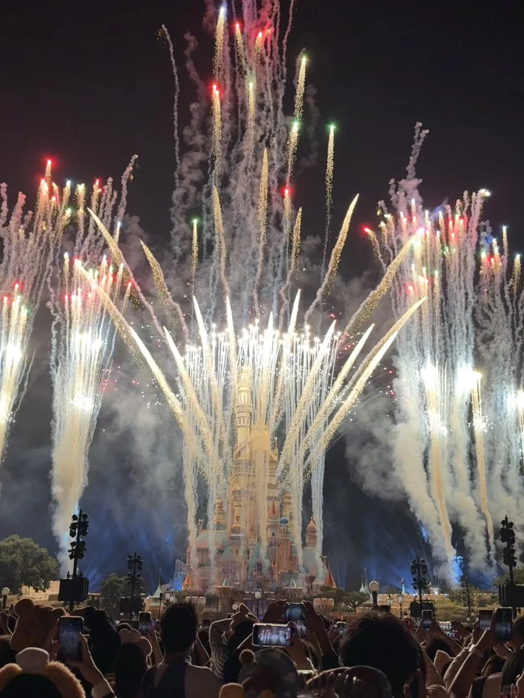 香港🇭🇰已回！J人对自己的旅游攻略很满意.