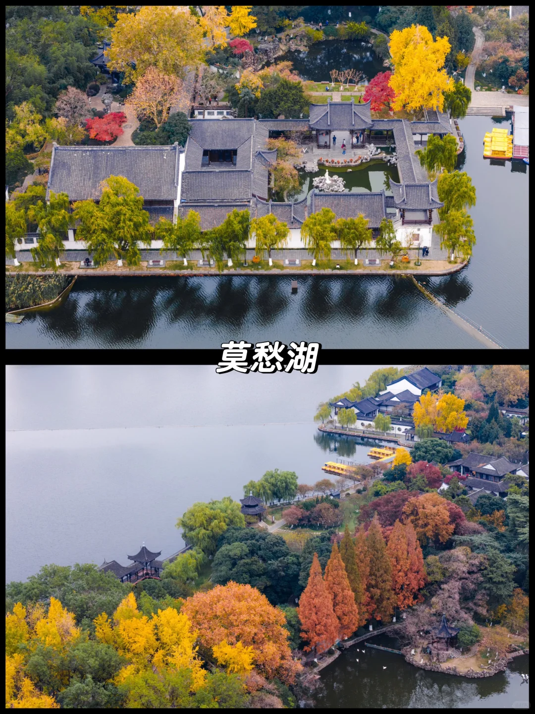 南京的秋天很绝，收好这15个机位拍到手软