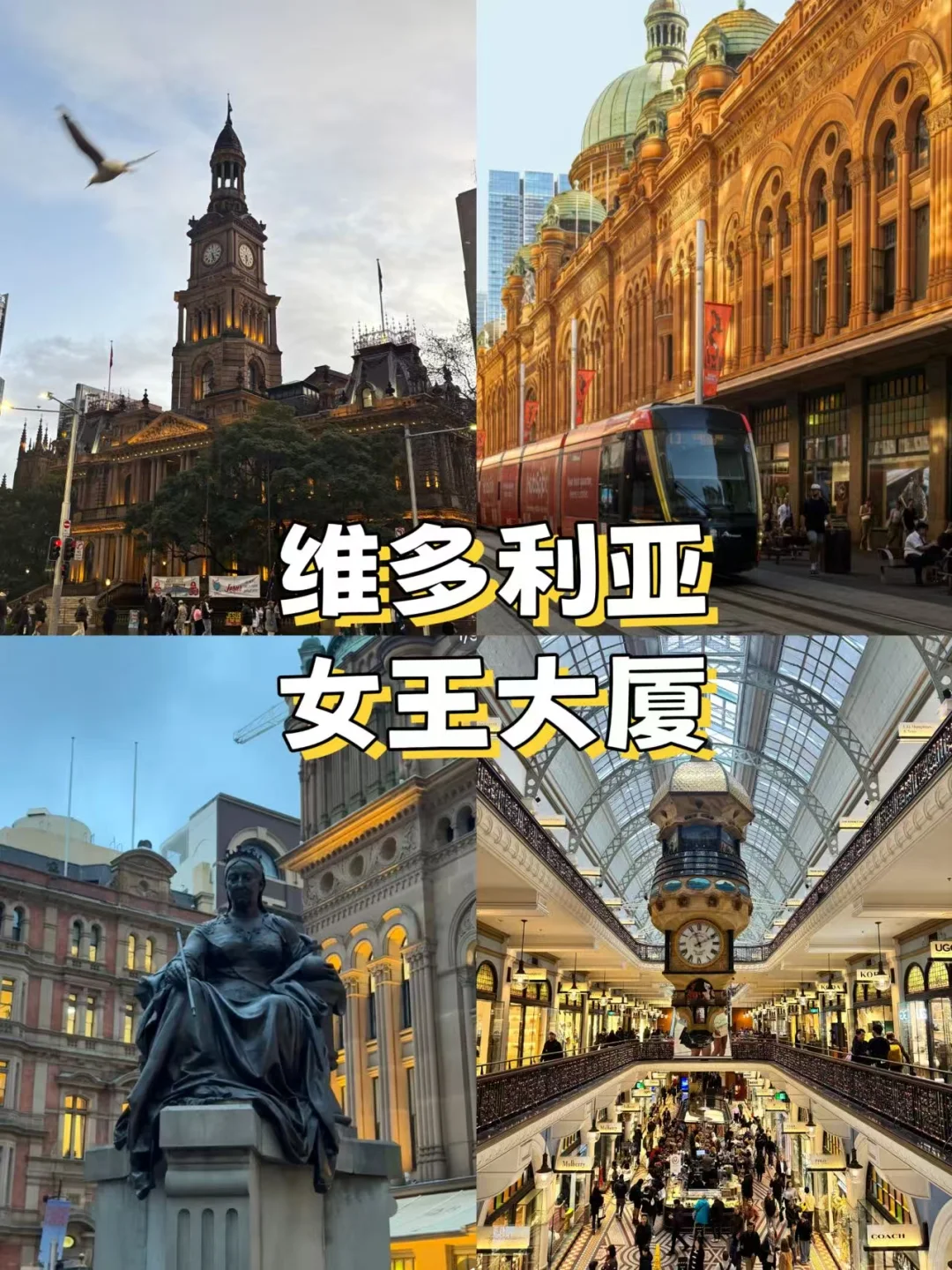 🌟悉尼市区必打卡！10个神仙景点+私藏玩法