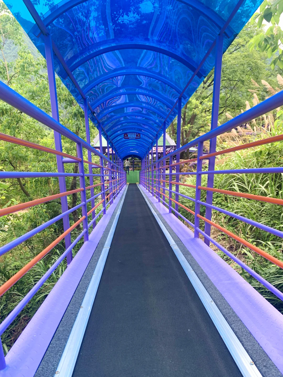 飞天魔毯 景区投资新风口