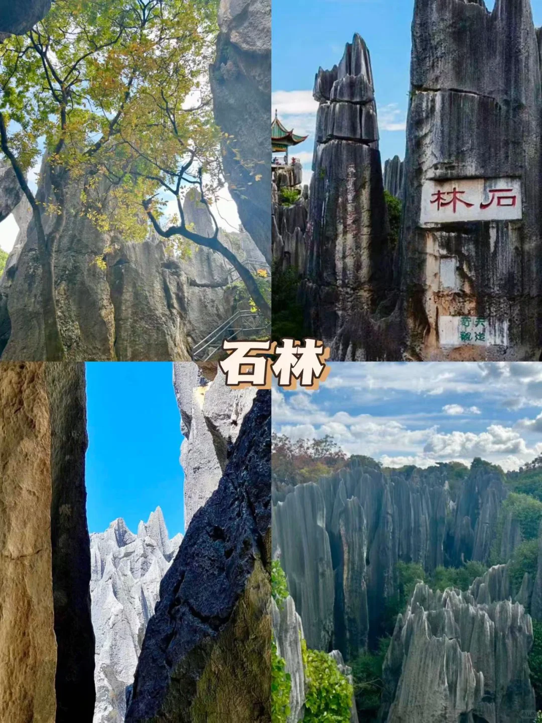 快来云南🔥六天花了1080💰包吃住行门票