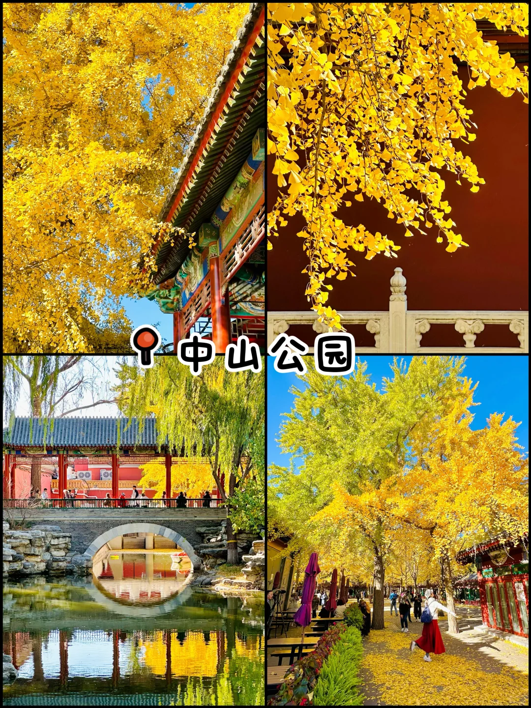 官宣❗️北京赏秋前三city walk路线出炉‼️