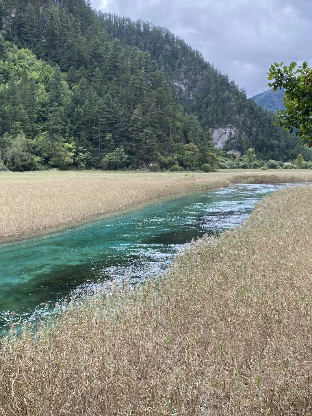 已回📝广东到九寨沟四姑娘山攻略纯分享