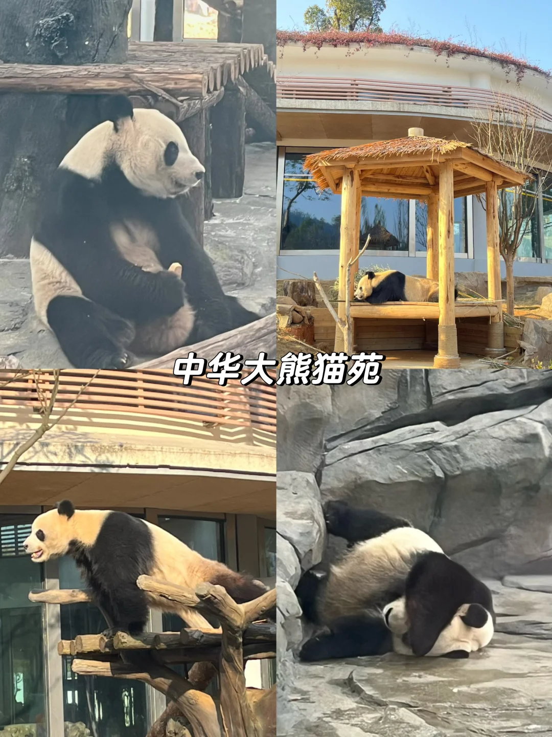 岳阳3天2晚保姆级旅游攻略！！建议直接照抄