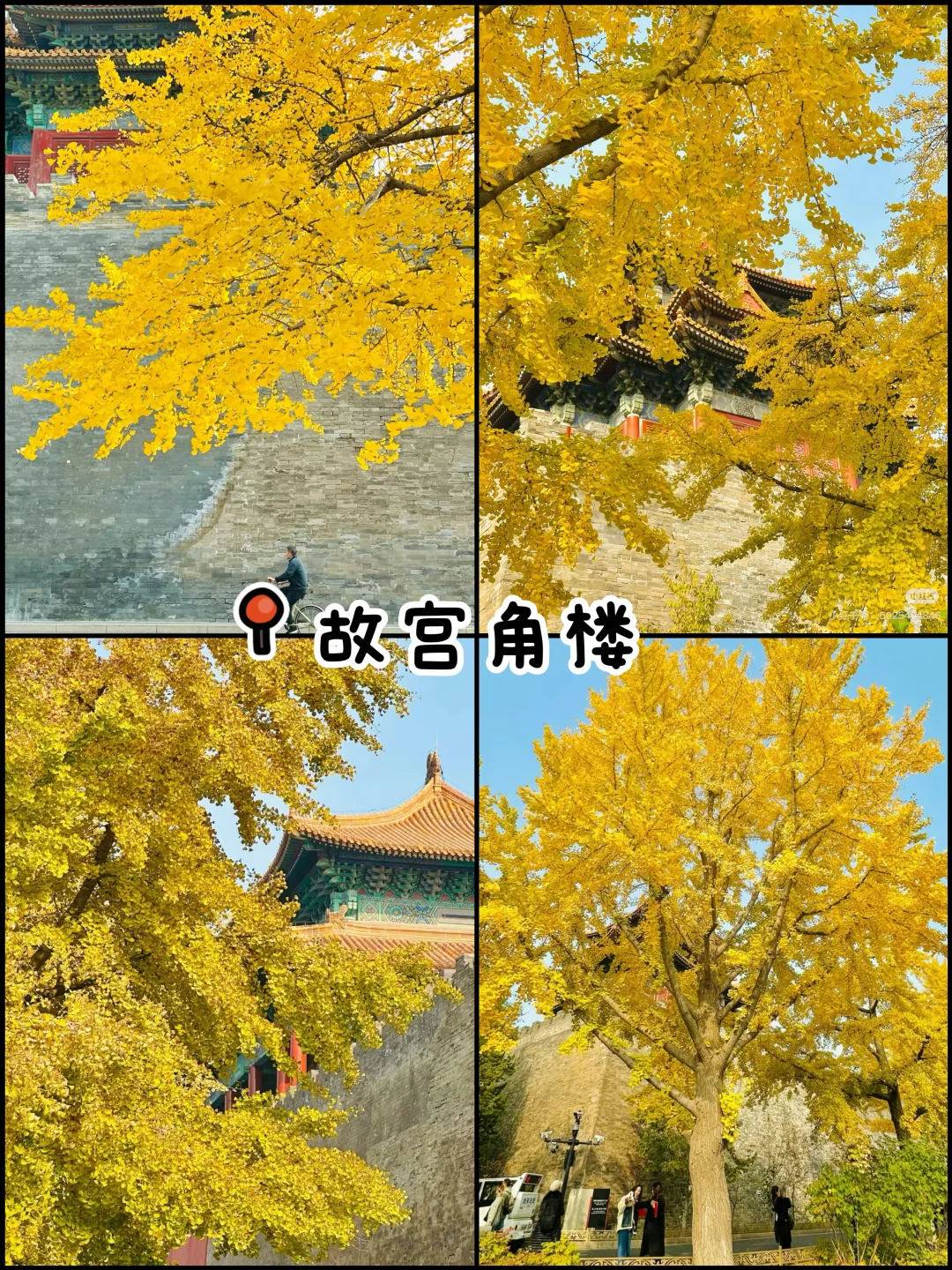 官宣❗️北京赏秋前三city walk路线出炉‼️