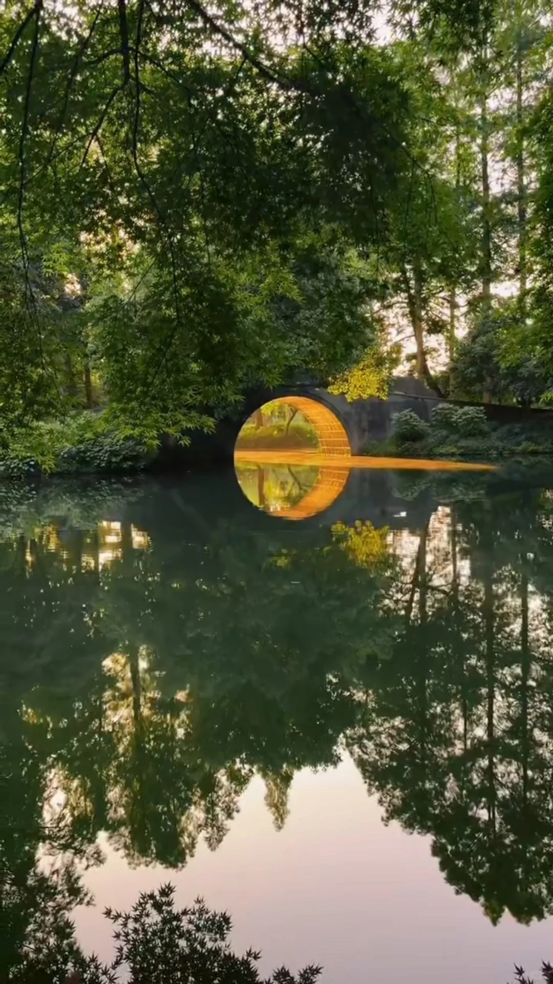 这一幕封神了 只恨我文笔平平