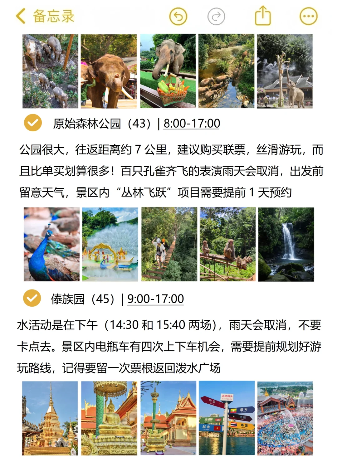 本人对自己做的云南旅游攻略满意到睡不着。