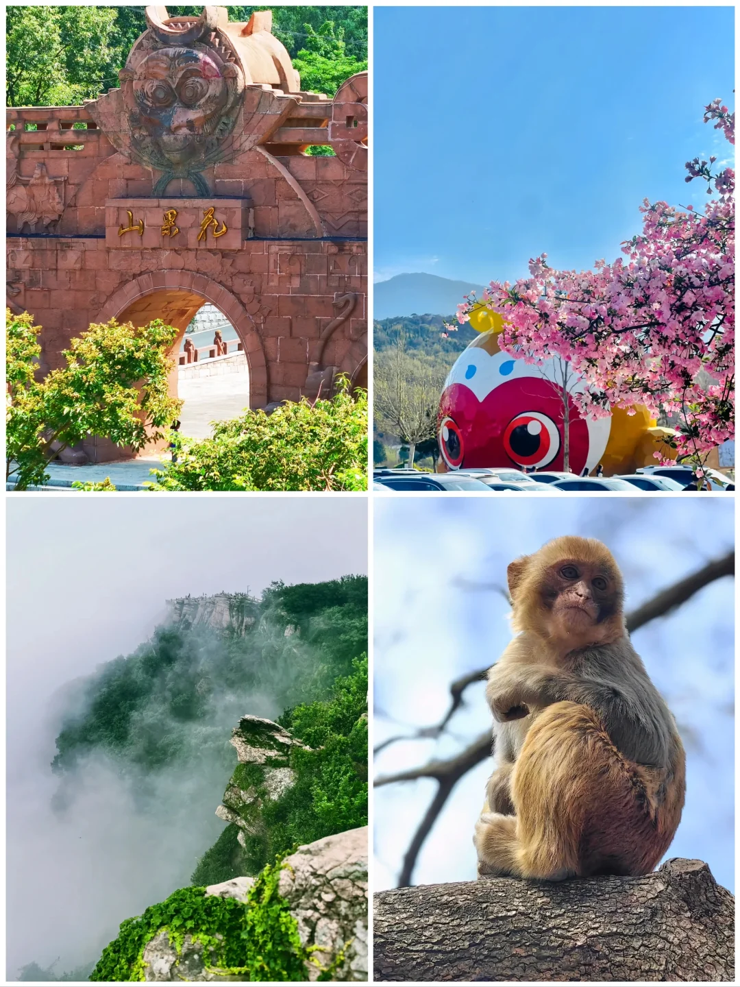 江苏连云港6大旅游景点🌺你去过几个❓