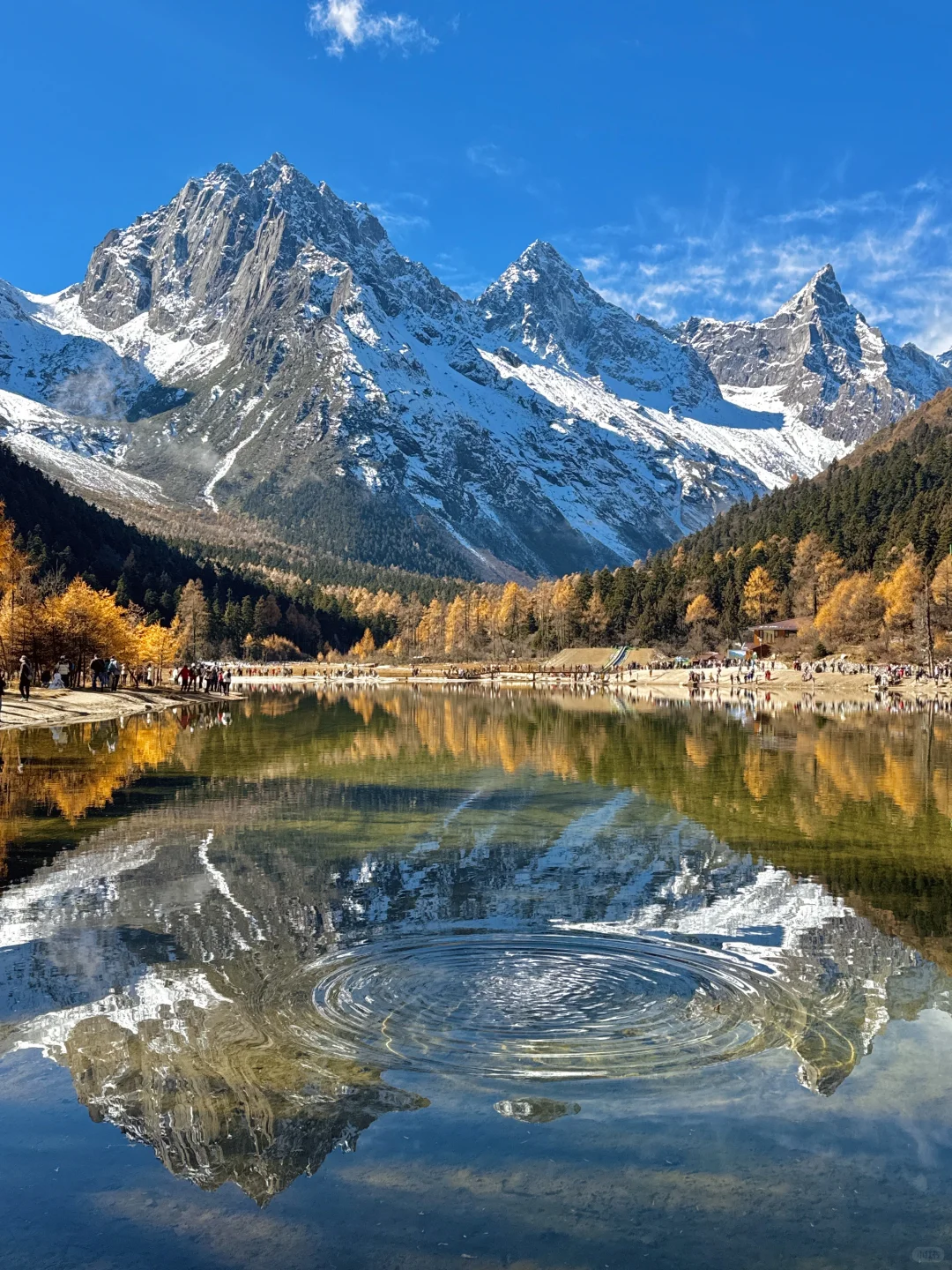 10.20📍川西现状，真心提醒未出行的😭.