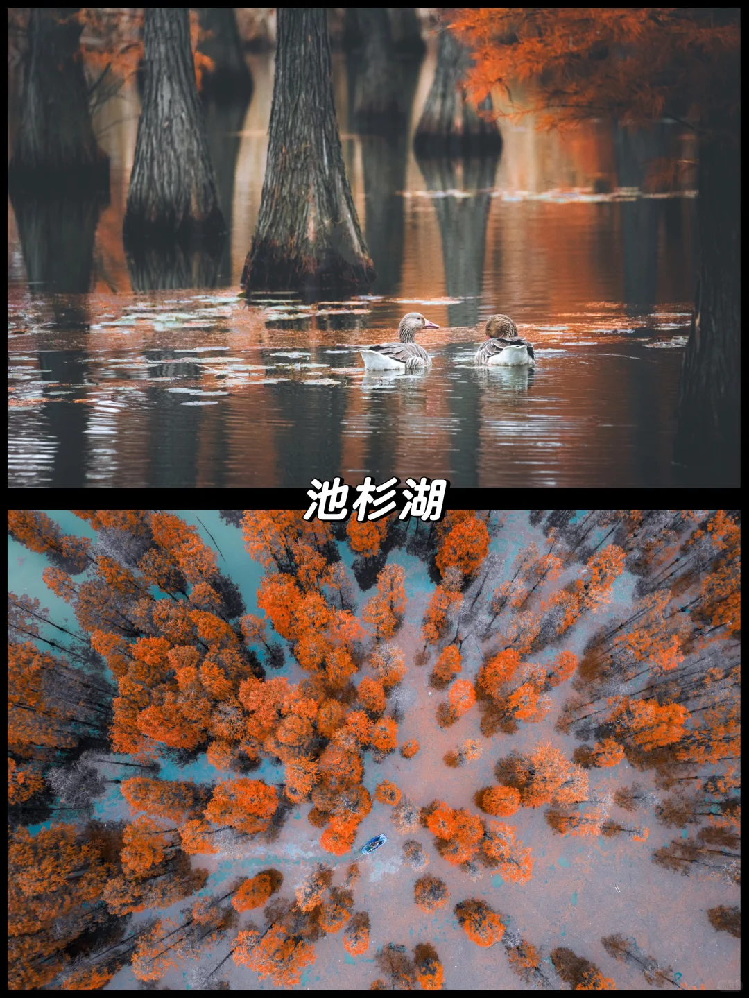 南京的秋天很绝，收好这15个机位拍到手软