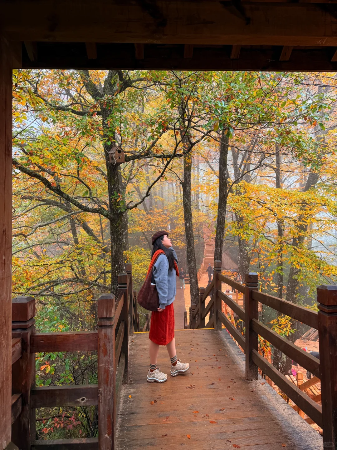 10.20实拍！！！今天的光雾山真的杀疯了！！！！