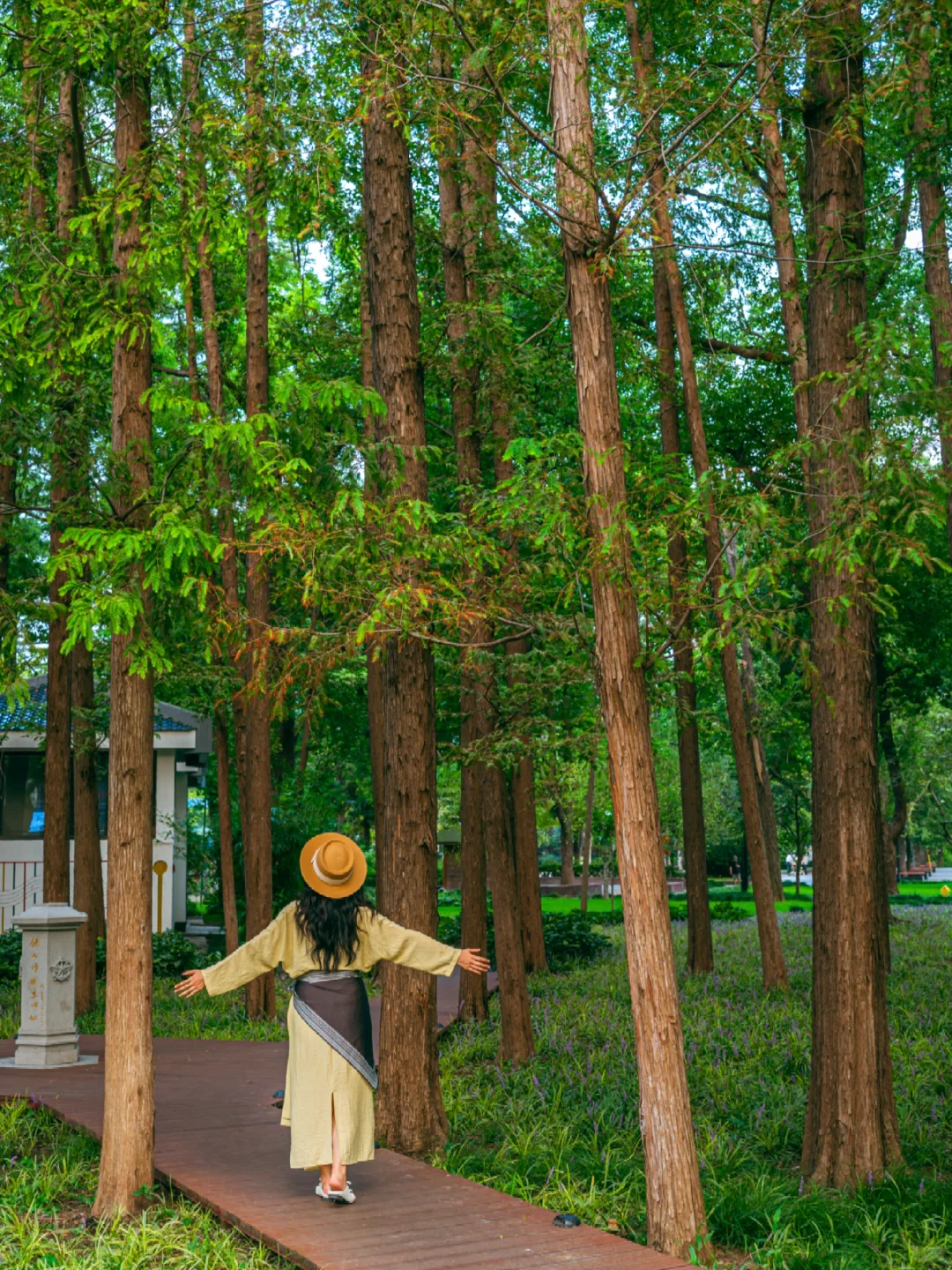 苏州1%的人才知道小众打卡地❗快抄作业❗