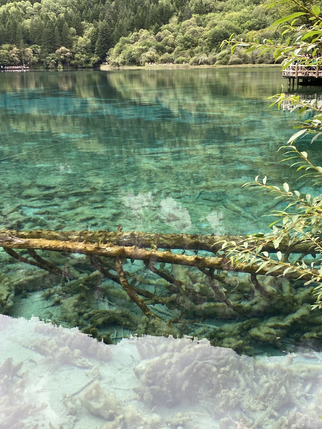 已回📝广东到九寨沟四姑娘山攻略纯分享