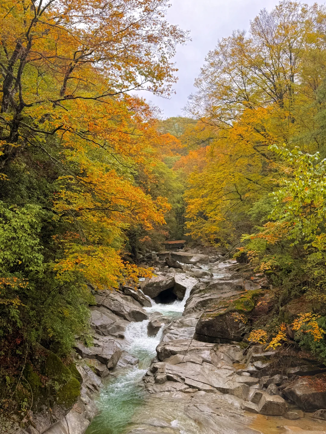 10.20实拍！！！今天的光雾山真的杀疯了！！！！