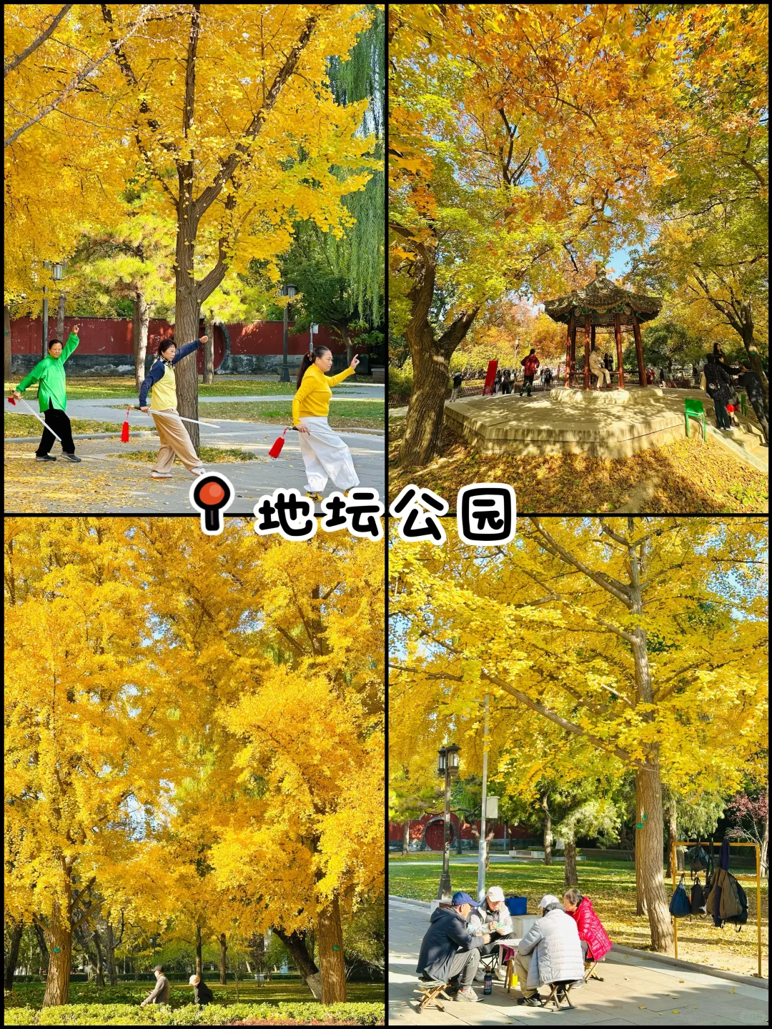 官宣❗️北京赏秋前三city walk路线出炉‼️