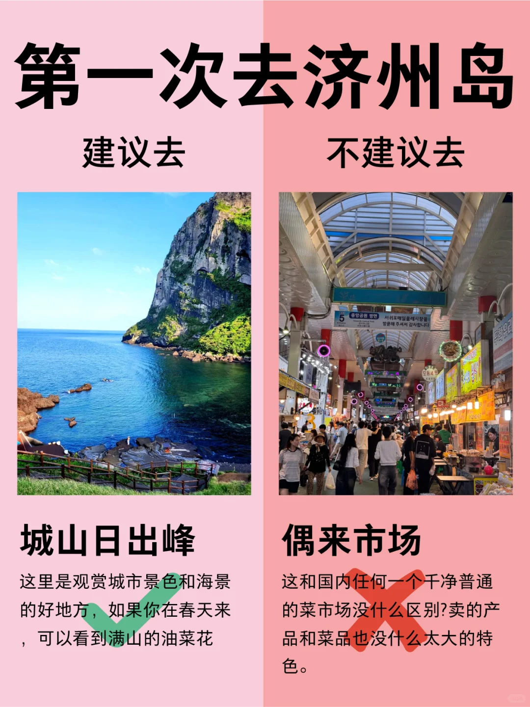 已被宰，9-10月去济州岛的姐妹们听我一劝！