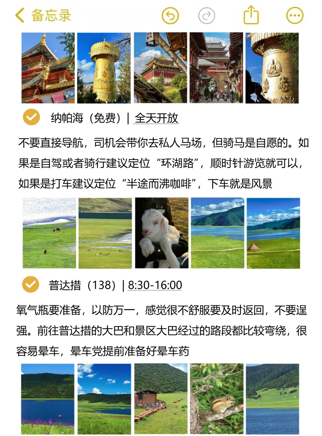 本人对自己做的云南旅游攻略满意到睡不着。