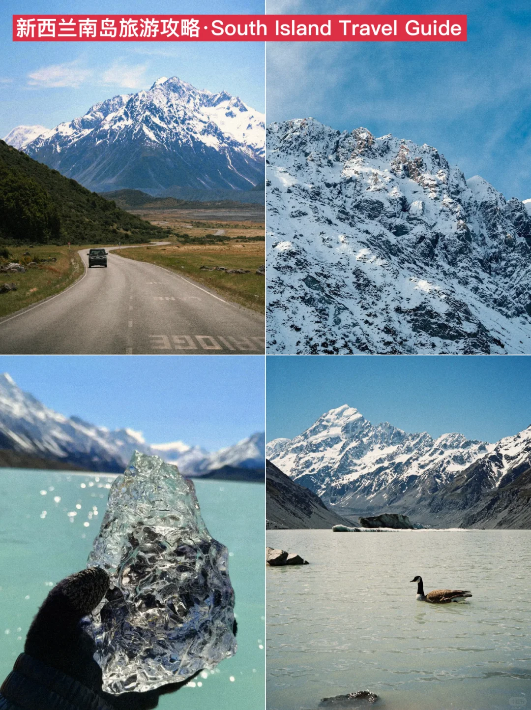 紫人做的新西兰旅游攻略❗️环南岛一篇通关