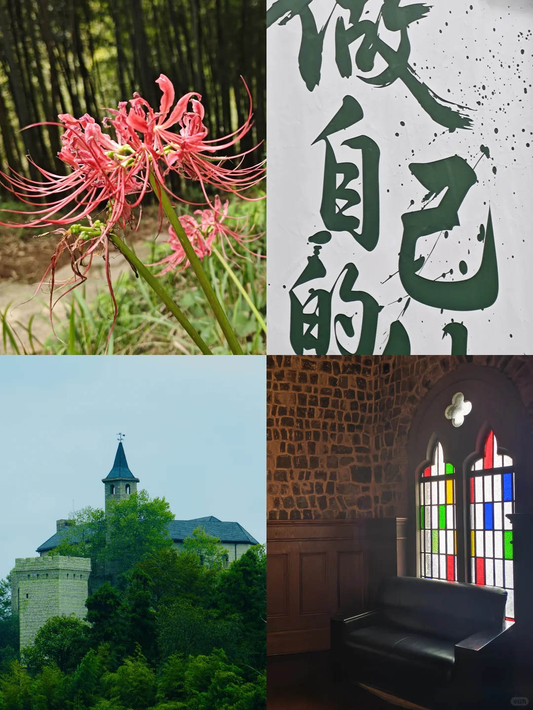 莫干山古道丨秋日满分选择