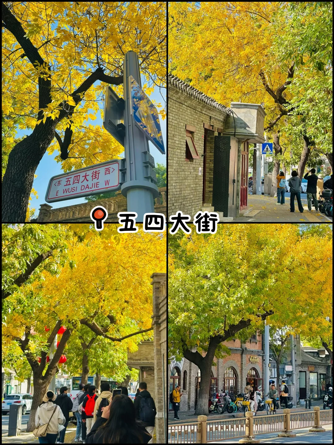 官宣❗️北京赏秋前三city walk路线出炉‼️