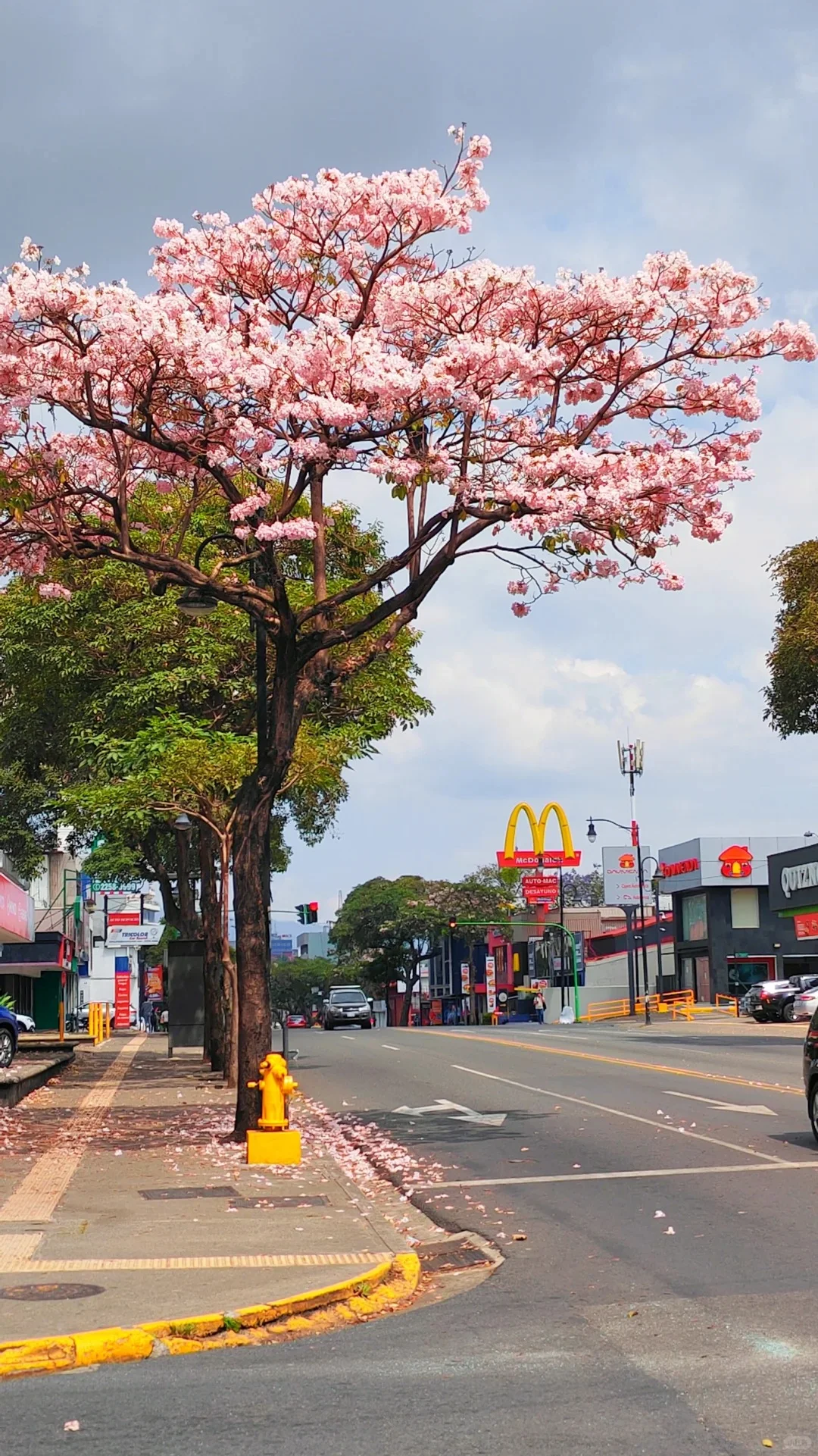 哥斯达黎加🇨🇷旅游攻略 | 收藏啦