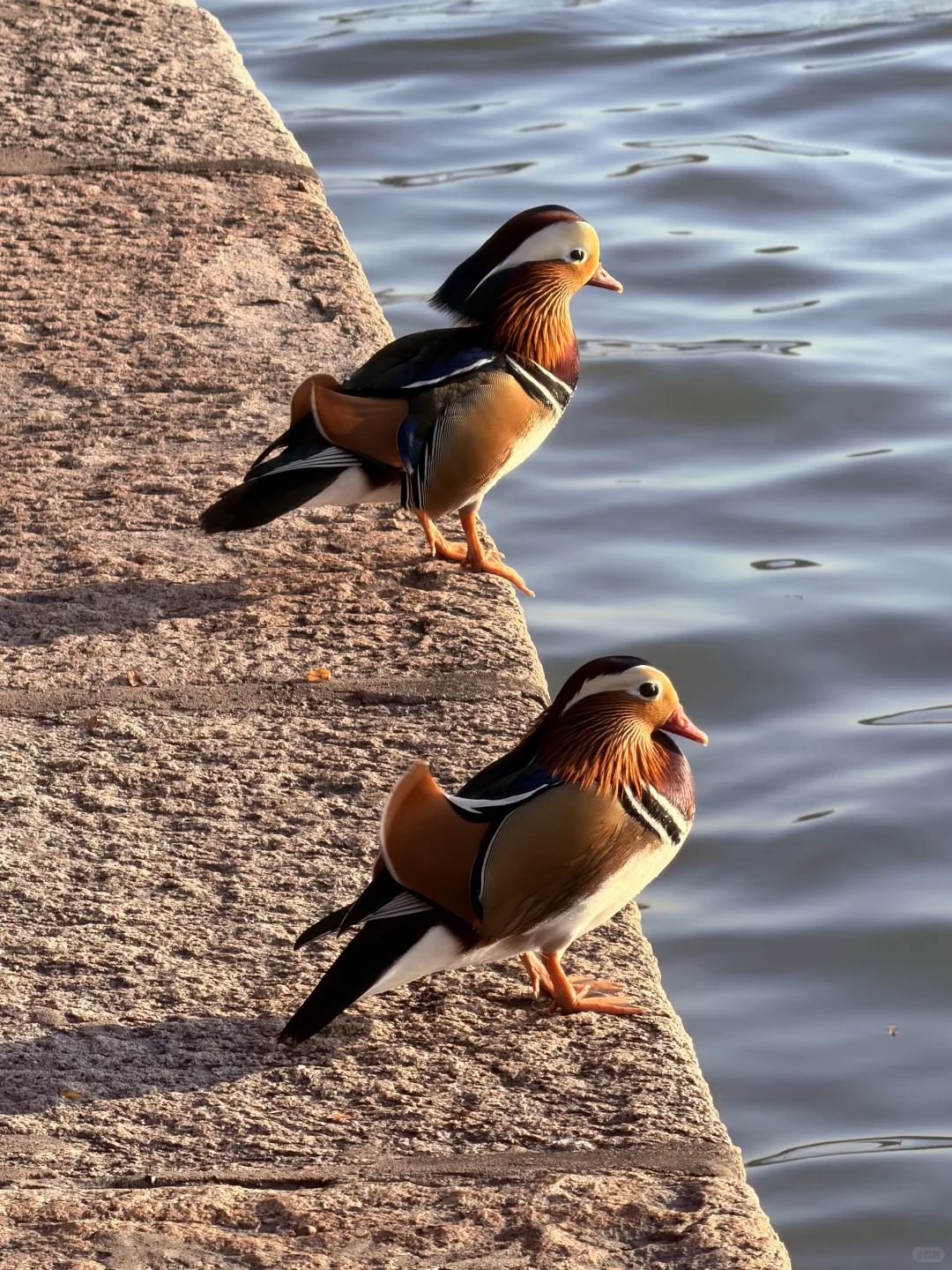 🚩𝗽𝗹𝗼𝗴｜北京四日游，不累人版