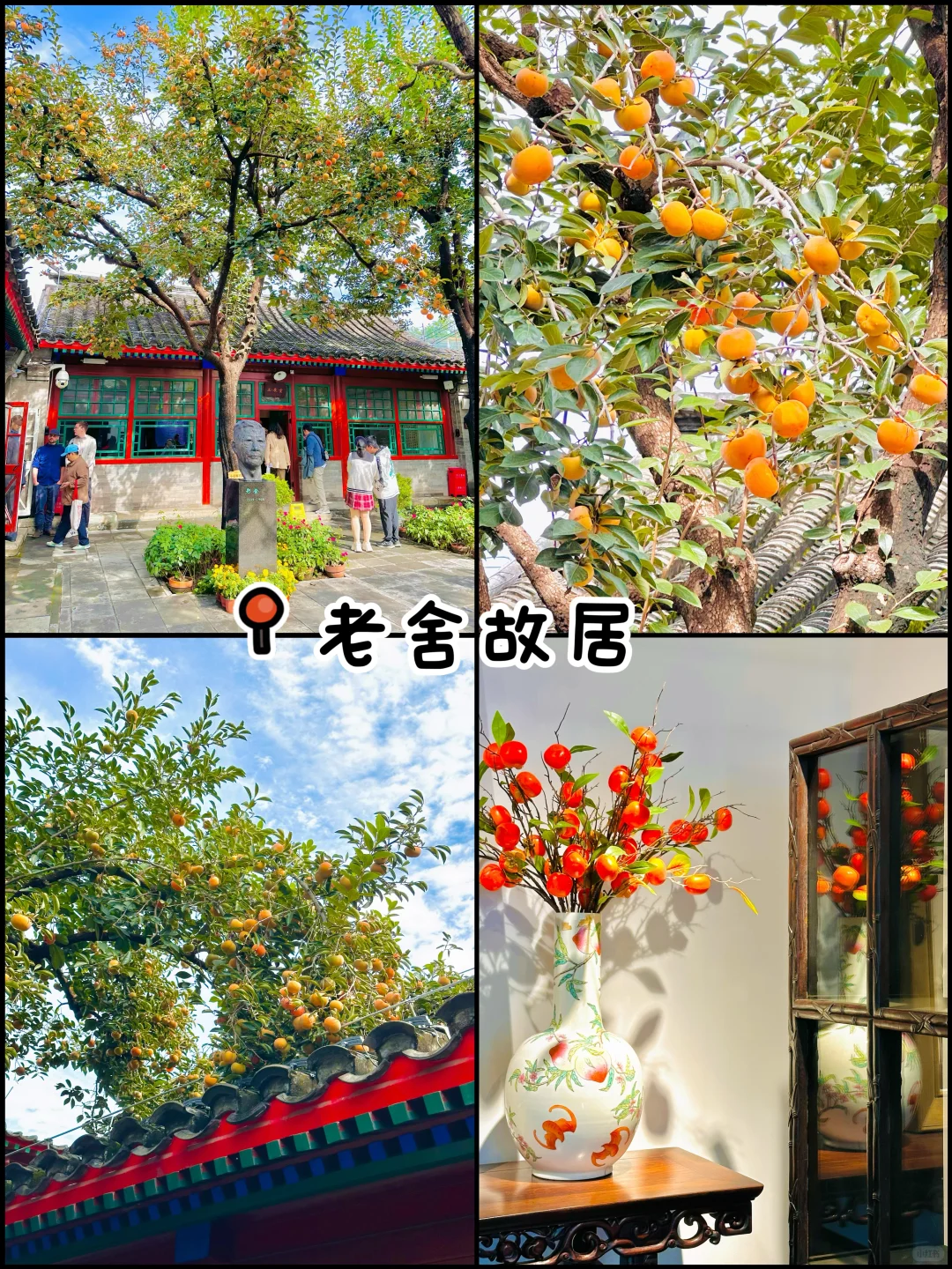 官宣❗️北京赏秋前三city walk路线出炉‼️