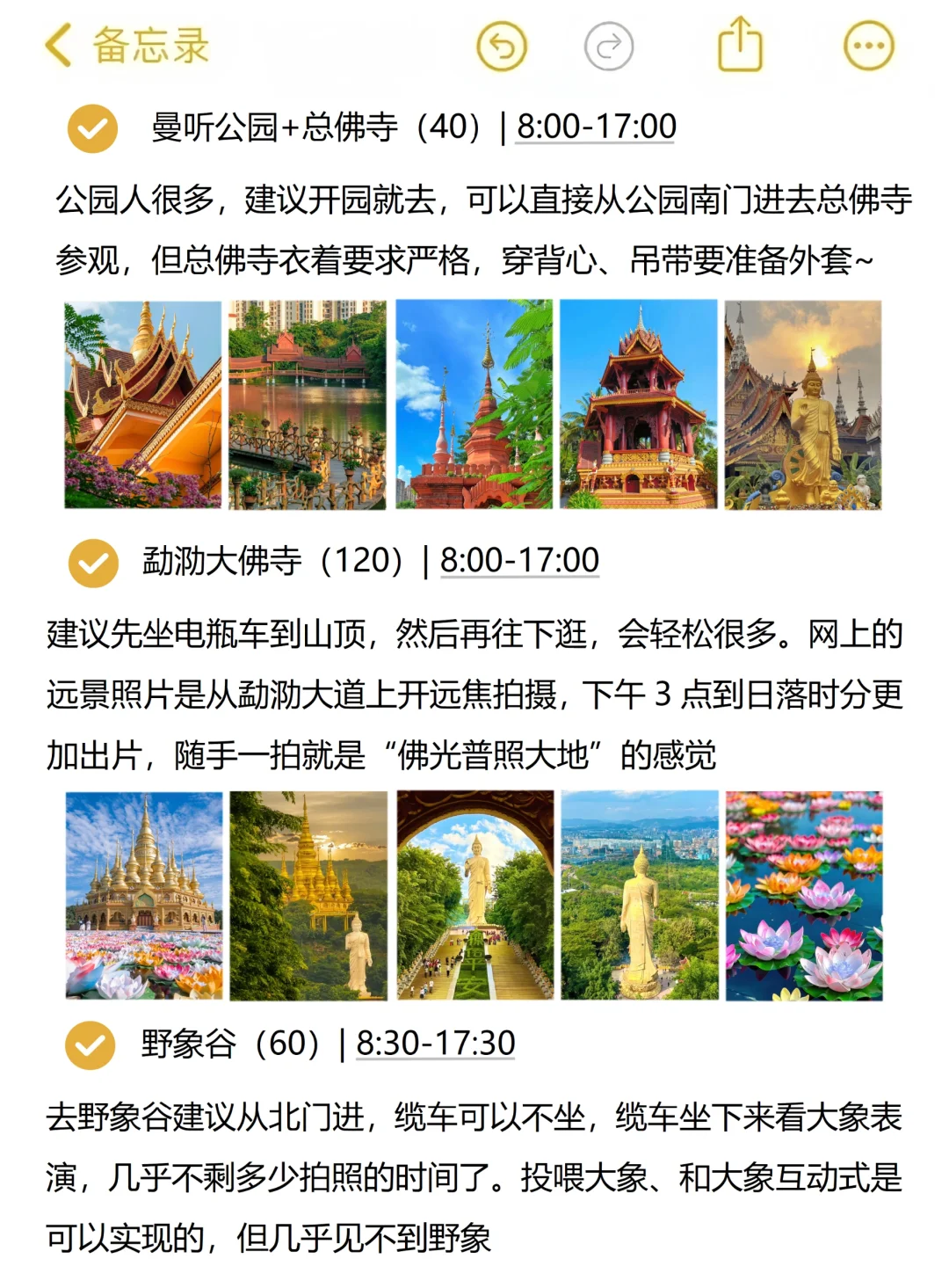 本人对自己做的云南旅游攻略满意到睡不着。