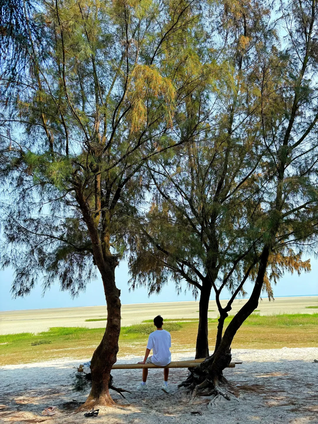 为了这几张图，我可以去一万次北海…