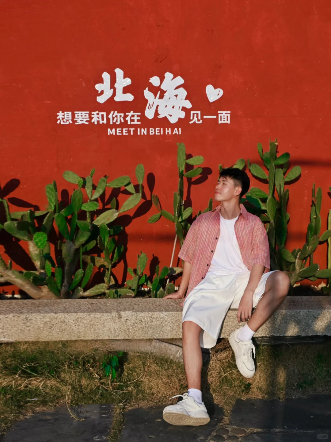 为了这几张图，我可以去一万次北海…