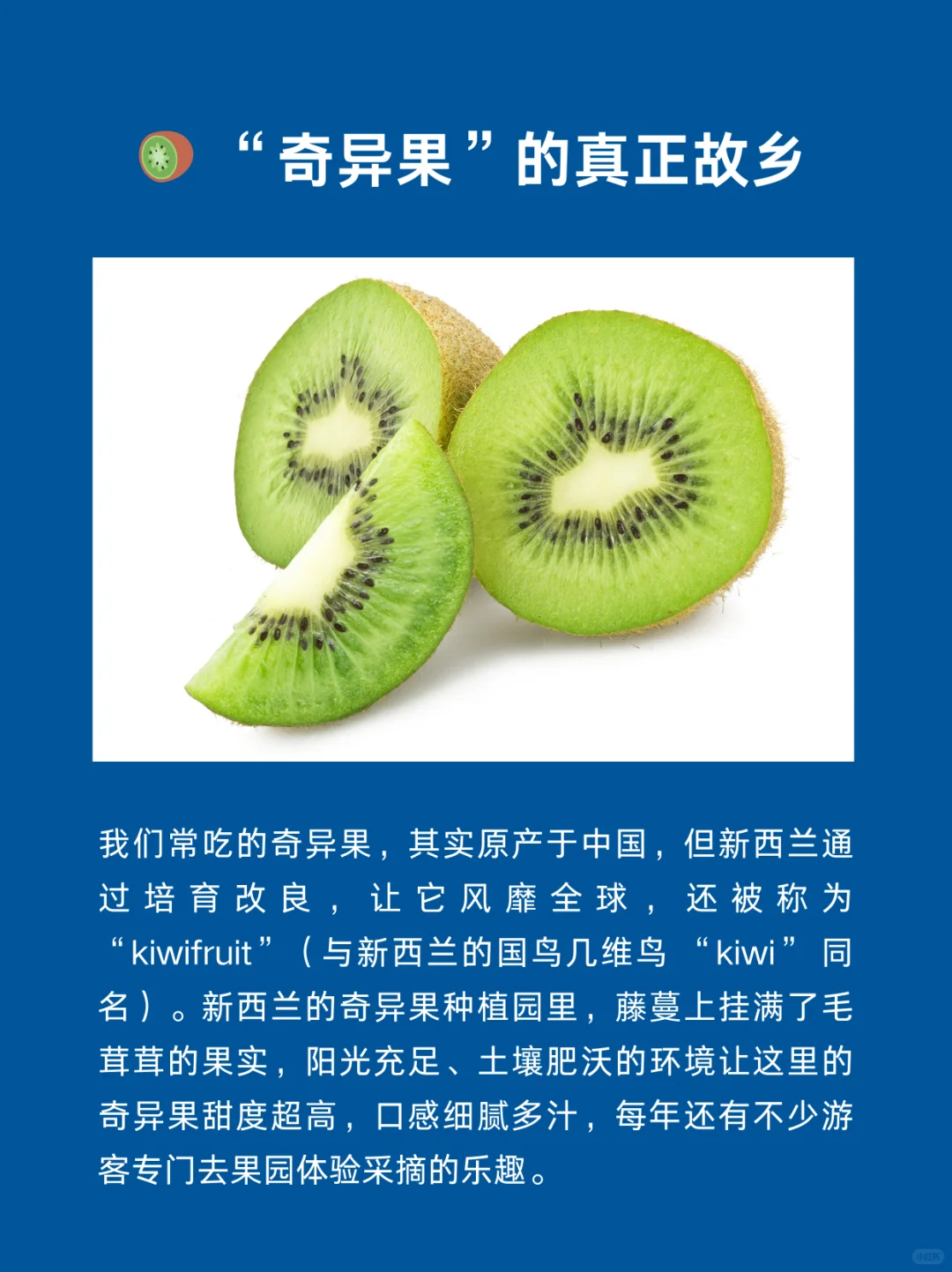 每天认识一个国家 | 新西兰🇳🇿