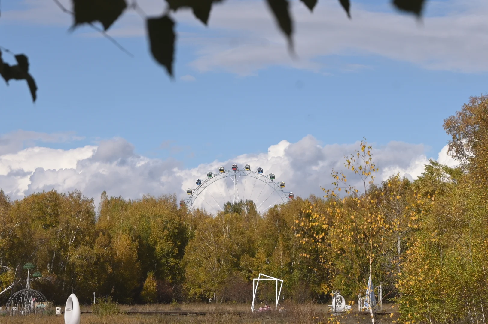 五彩斑斓的秋🍁
