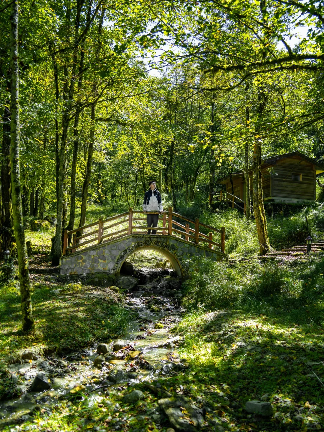国庆反向旅游🍃成都出发3h抵达绿野仙踪