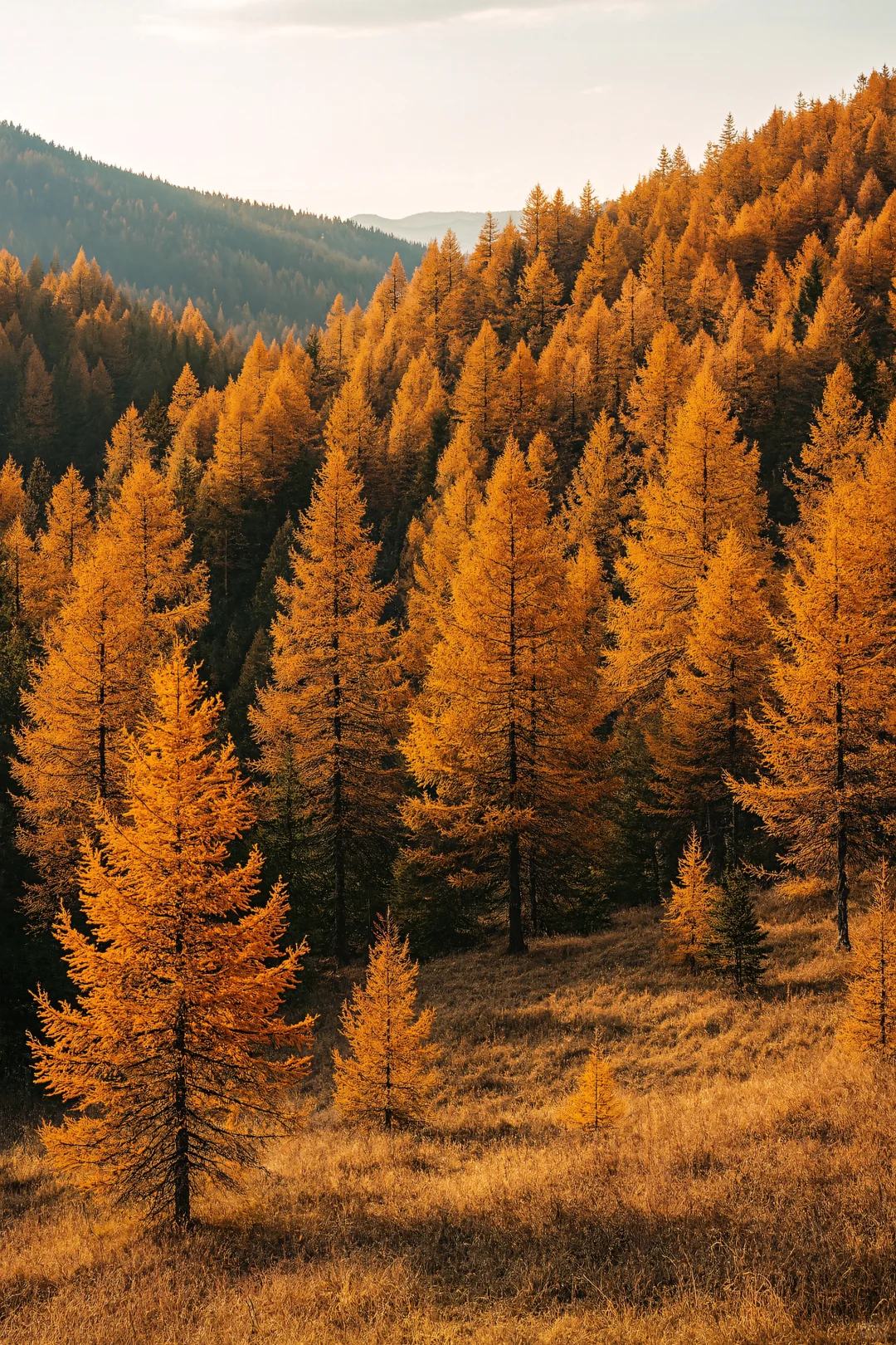 北京周边2h直达！秋天必须去的宝藏秘境