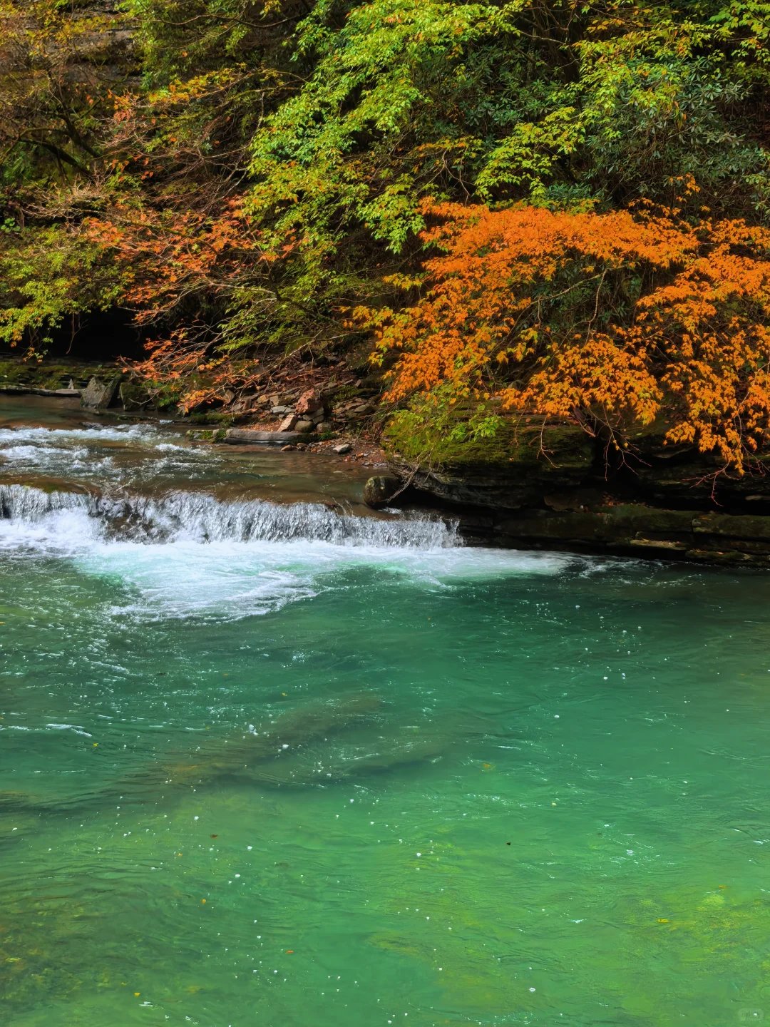 西安周边|不愧陕南小九寨❗低估赏秋天花板