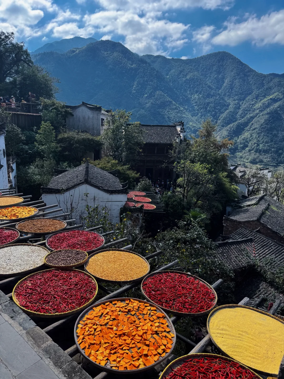 自驾冲篁岭太香了！露营看星空绝了