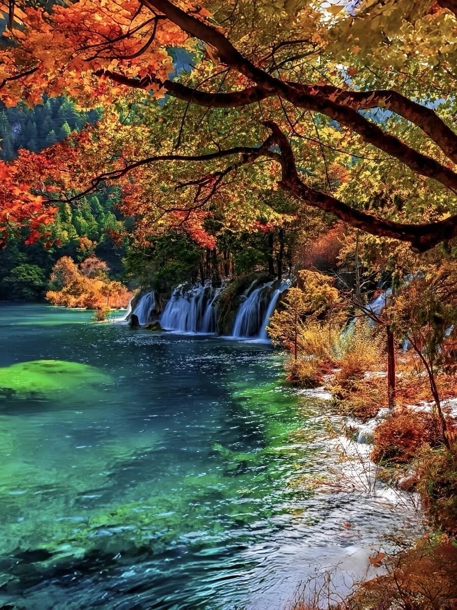 九寨沟即将迎来彩林季🍁真比日本震撼万倍！