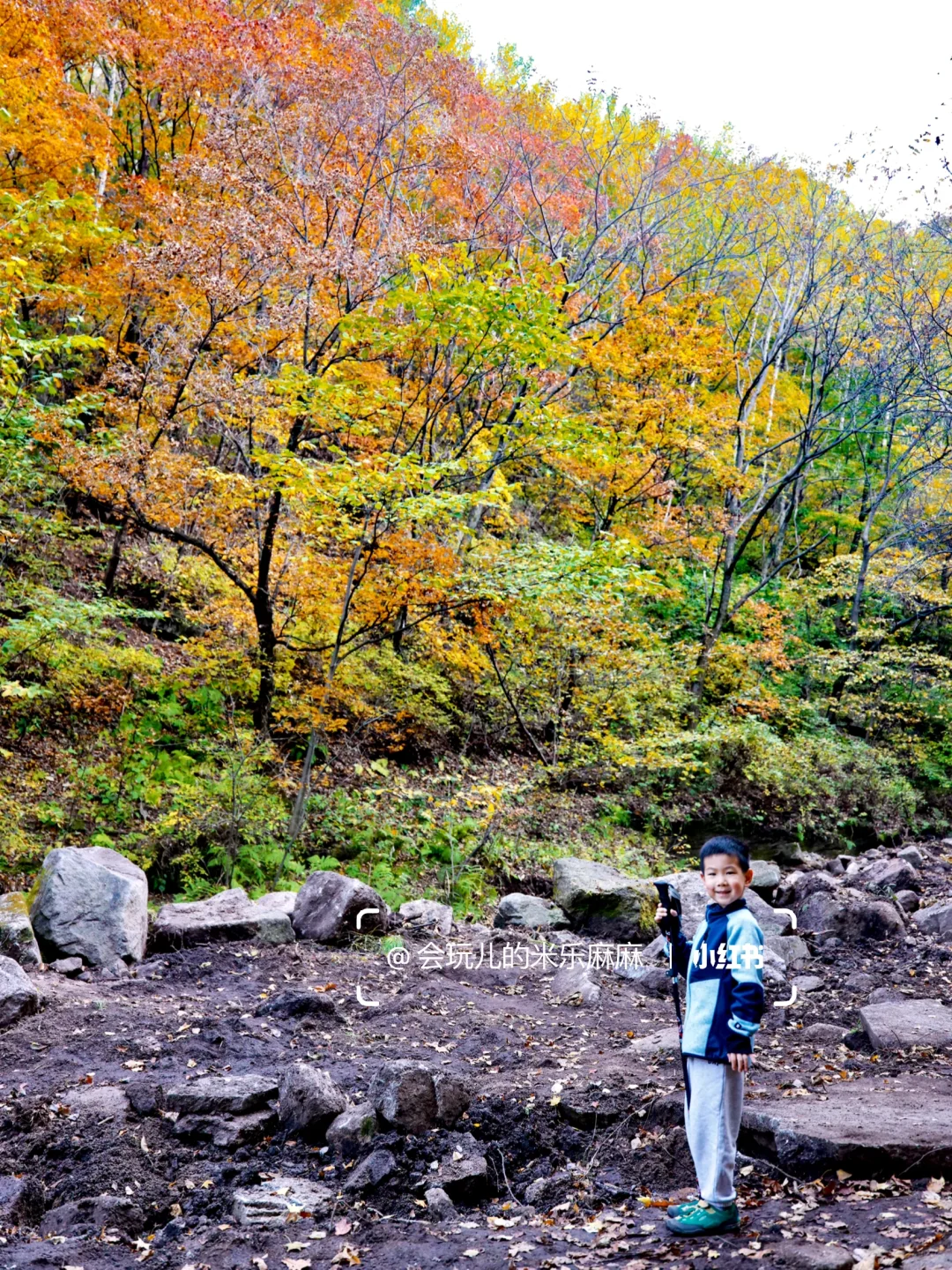 北京这座山已层林尽染🍁关键还没啥人