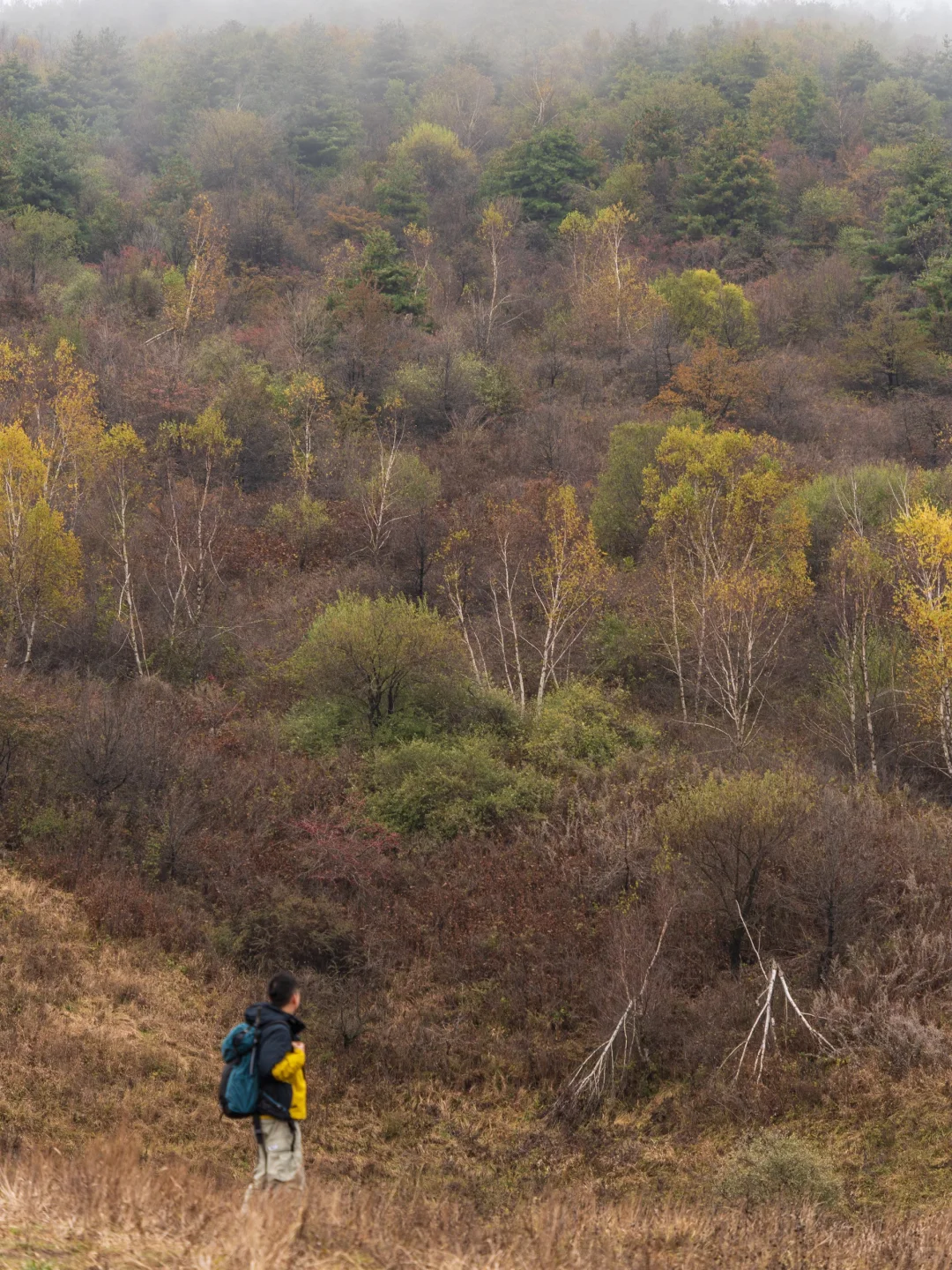 勇敢的人先享受山西的秋天🍂