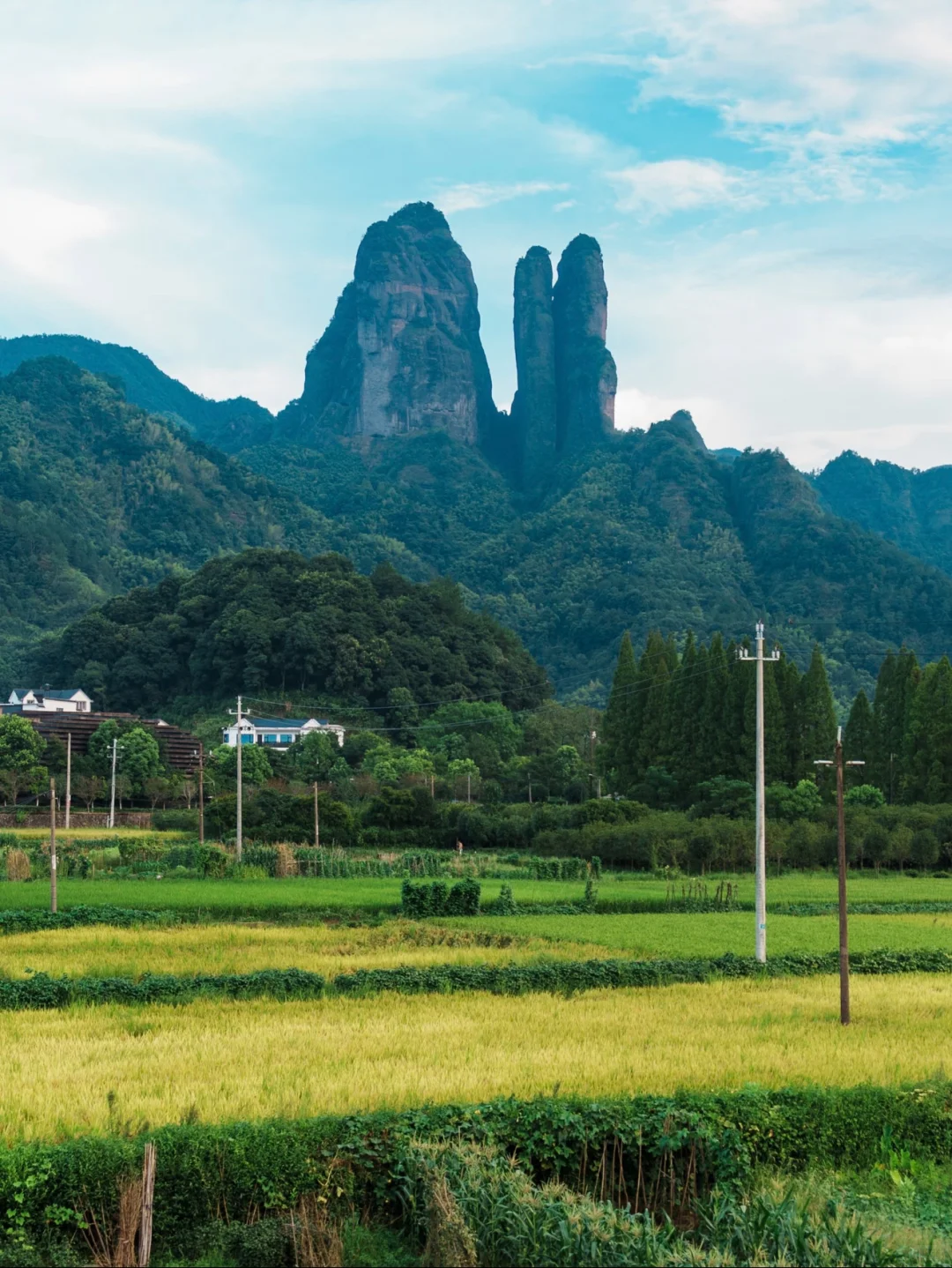 2025全球免费游衢州！11月马上出发🌿