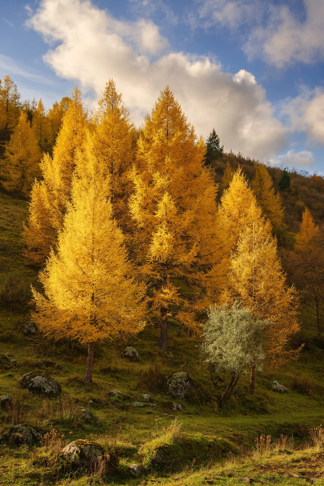 北京周边2h直达！秋天必须去的宝藏秘境