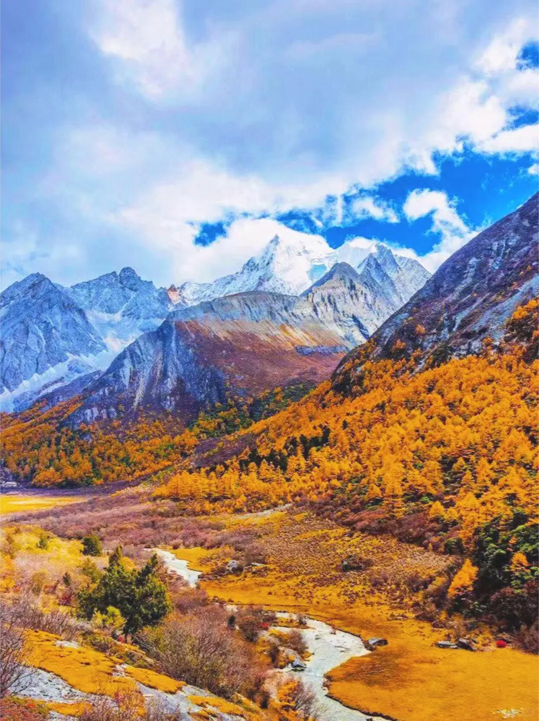 稻城亚丁的秋天，人间值得🍁