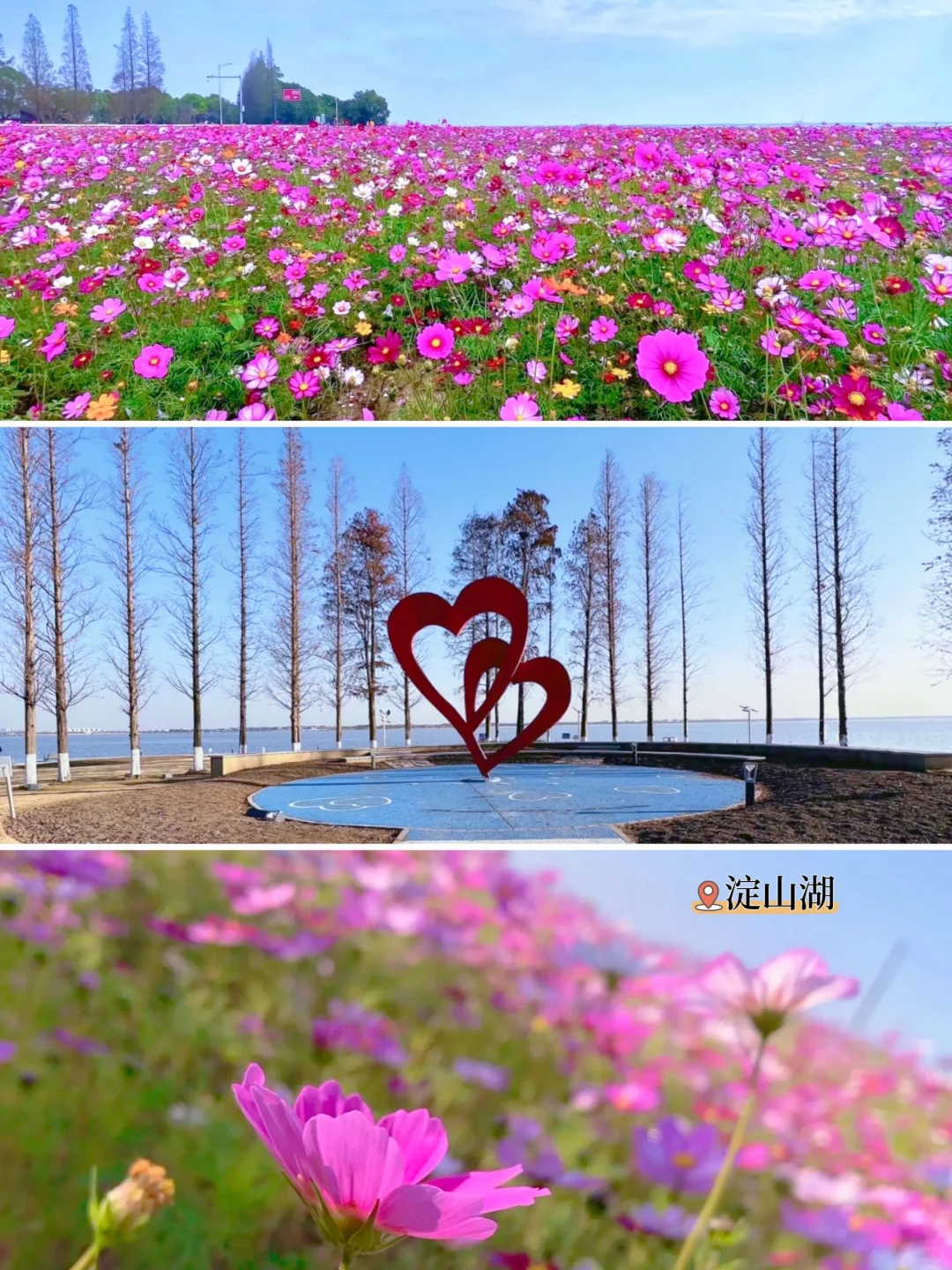 昆山攻略｜一个被低估的小众旅行目的地｜推