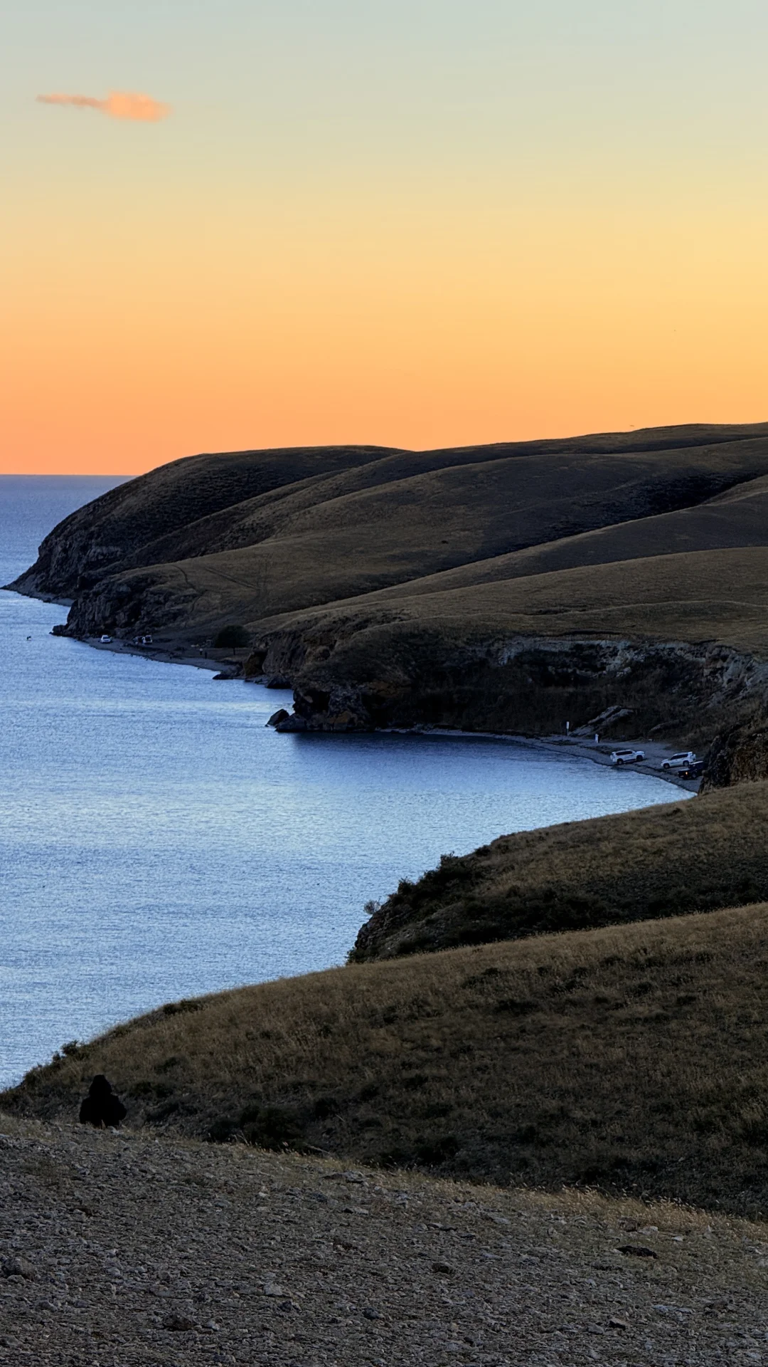 妈妈 人生是旷野~
